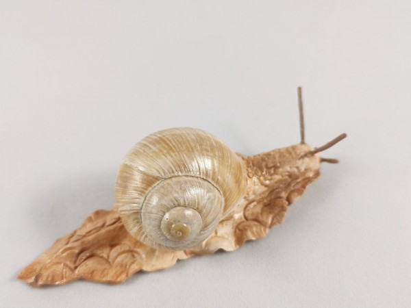 Schnecke, handgefertigt, Deko, Weinbergschnecke